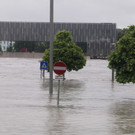 ABD0308-20130603.jpg
