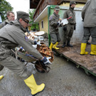 ABD0270-20130603.jpg
