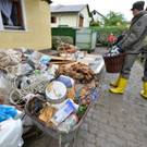ABD0256-20130603.jpg