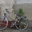 ABD0286-20130603.jpg