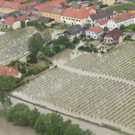 ABD0216-20130603.jpg