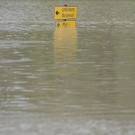 ABD0131-20130603.jpg
