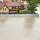 ABD0129-20130603.jpg