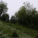 IMG_3033.JPG