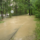 DSC06335.jpg