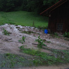 IMG_6273.jpg