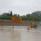 IMG_8865.jpg