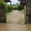 normal_DSC06303.jpg