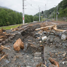 ABD0368-20130603.jpg