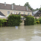 ABD0388-20130603.jpg
