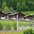 normal_03062013murretaxenbachde07001aktivnews_34.jpg