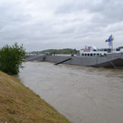 DSC_5384.JPG