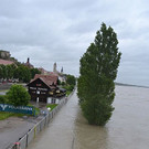 DSC_5428.JPG