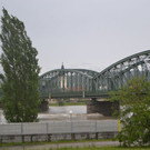 DSC_5441.JPG