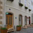 DSC_5471.JPG