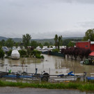 DSC_5482.JPG
