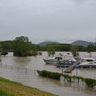 DSC_5485.JPG