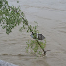 DSC_5489.JPG