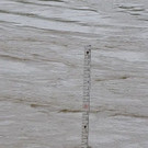 DSC_5503.JPG