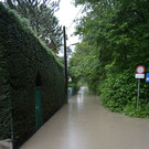 DSC_5506.JPG