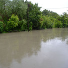 DSC_5514.JPG
