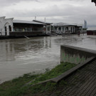 Hochwasser in Wien (Copa Cagrana)