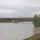 IMG_8665.JPG