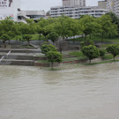 IMG_8692.JPG