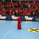 IMG_9034_JPG-1370341192