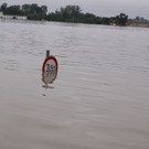 ABD0108-20130604.jpg