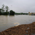 Neu_Sarling _21_.jpg