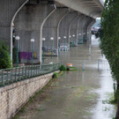 13_Hochwasser_Wien_www.jpg