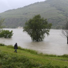 Hochwasser in Niederösterreich: 82 Häuser in Hainburg geräumt