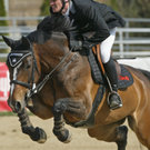 Raiffeisen-Springreitturnier 