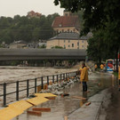 IMG_9431.jpg