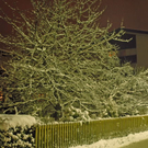 Winternacht 3/10