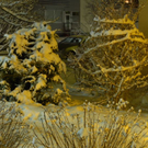 _DSC05270003_JPG-1267961528