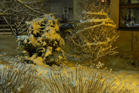 _DSC05270003_JPG-1267961528