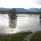 20130605_184615_jpg-1370514016