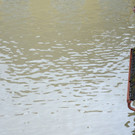 ABD0125-20130605.jpg