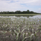 ABD0044-20130606.jpg
