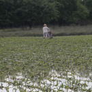 ABD0035-20130606.jpg