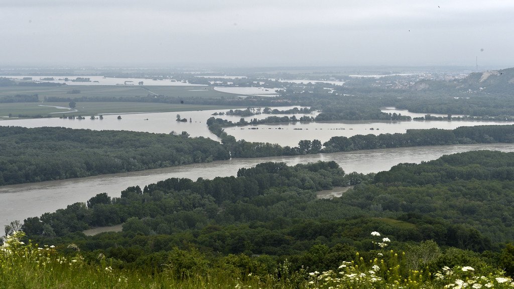 ABD0108-20130606.jpg