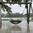 ABD0106-20130606.jpg