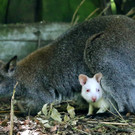 ABD0135-20130531.jpg