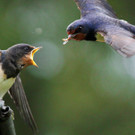 ABD0010-20130601.jpg