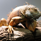 ABD0002-20130603.jpg