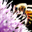ABD0012-20130603.jpg