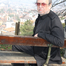 Gaul am Zanzenberg.JPG