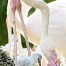 ABD0034-20130604.jpg
